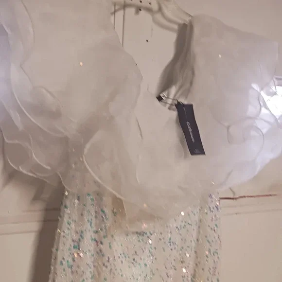 NWT women's ruffle, sequins dress